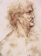 LEONARDO da Vinci Profile one with book leaves gekroten of old man oil